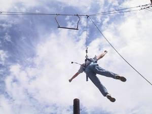 Henry jumped, but could not hang on to the trapeze